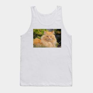 Ginger cat Tank Top